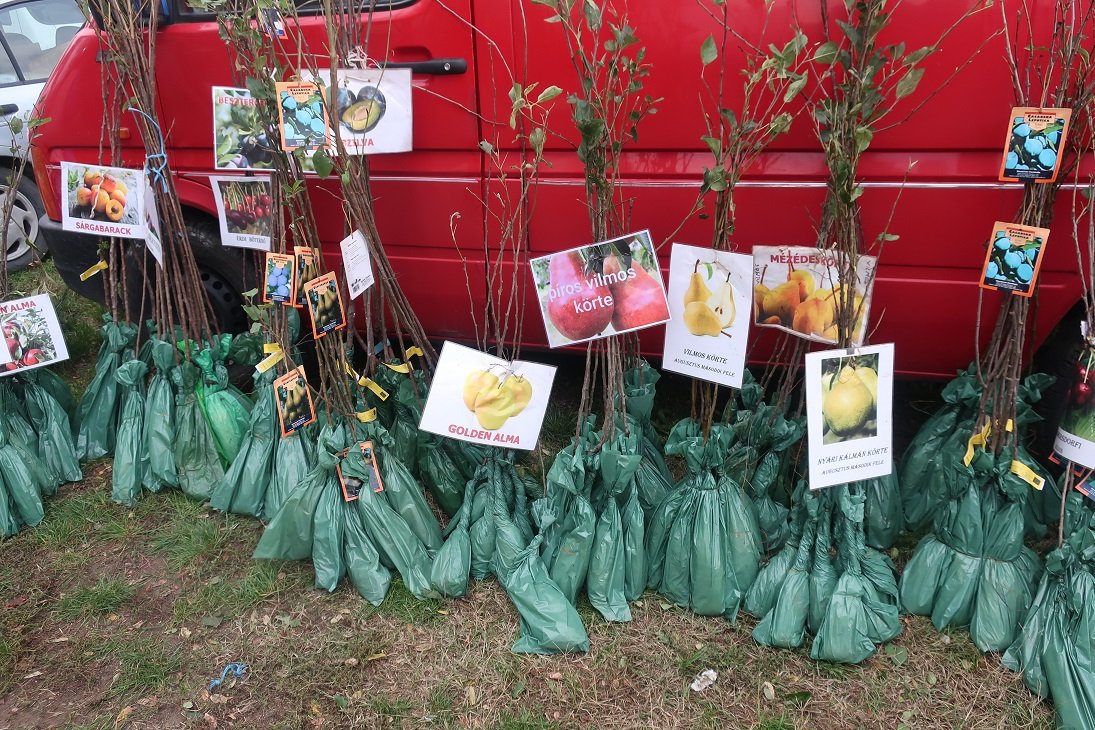 szaporitoanyag-forras-nebih